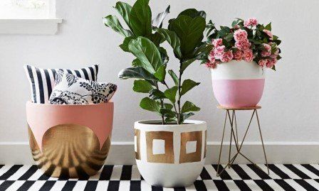 Como decorar con plantas Como decorar con plantas