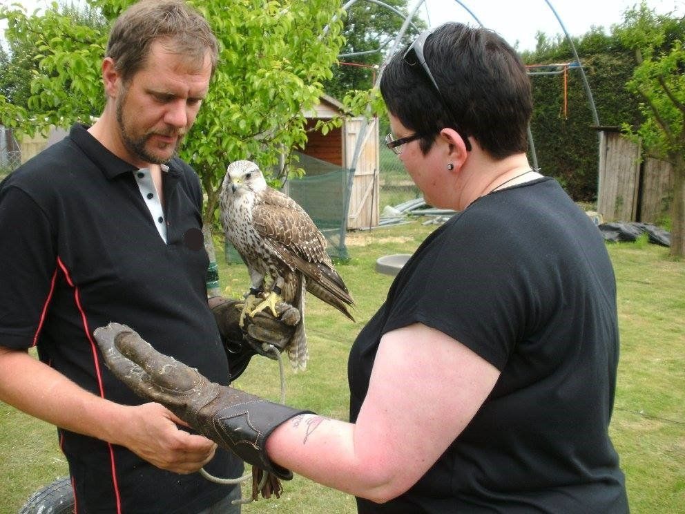 Jagd-, Falkner, und Managerseminare bei Falken ultima. Individuell und praxisnah