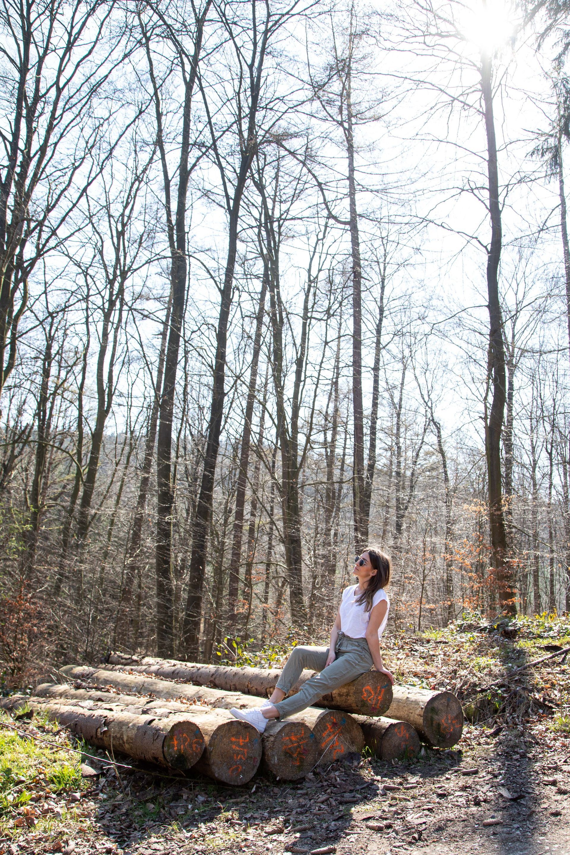 traumasensibles Coaching, christliches Coaching, Hannover