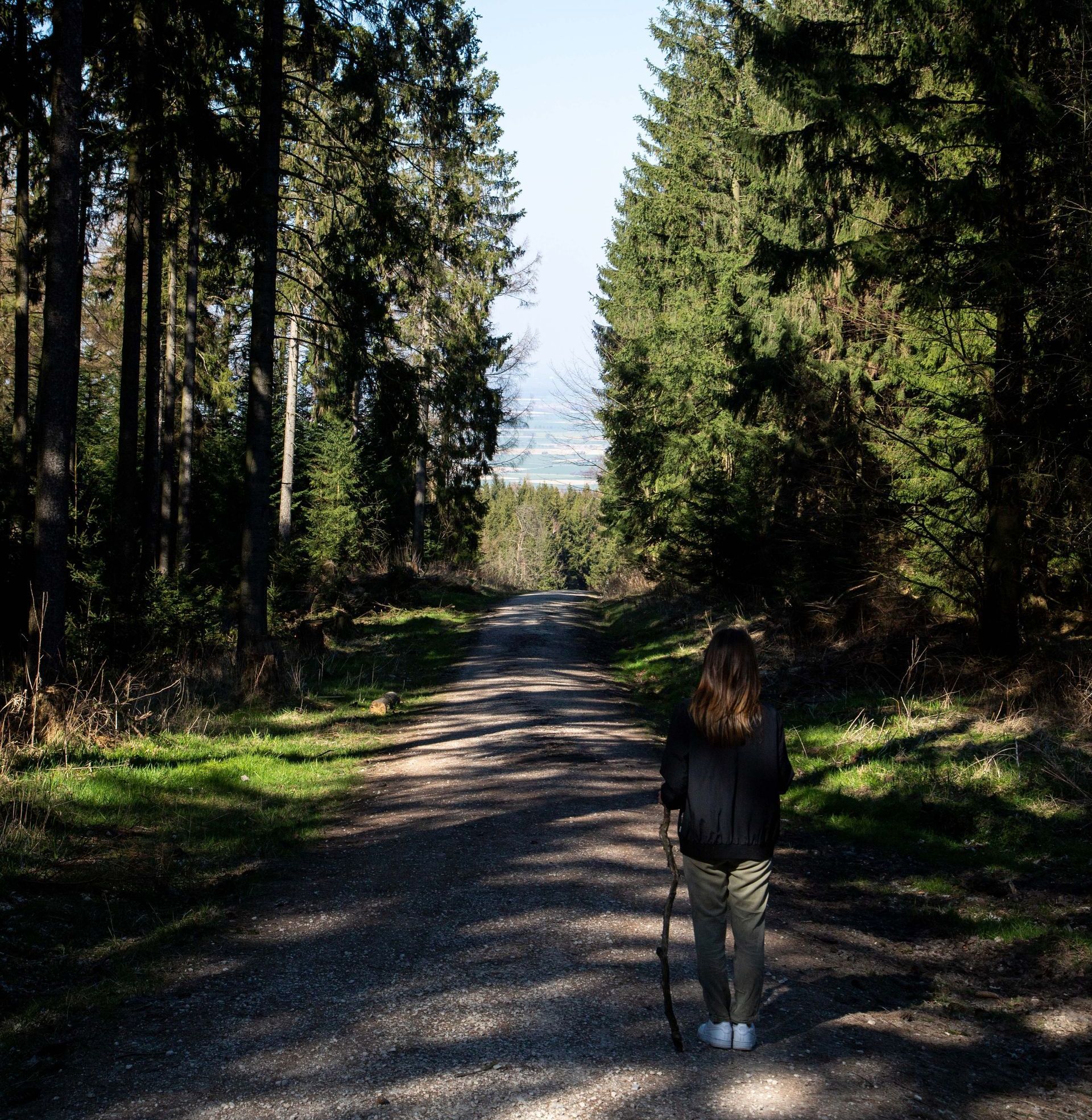 traumasensibles Coaching, christliches Coaching, Hannover