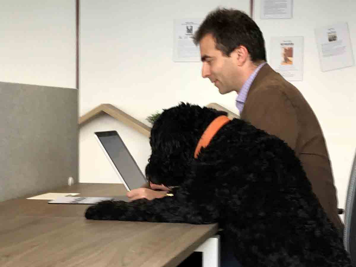 A l'Espace Aristide, on est « Dog-Friendly» !