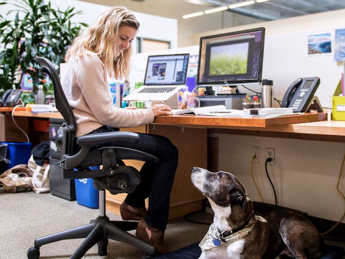 L'Espace Aristide est cité dans un article de l'Express !