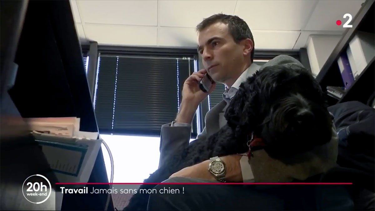 On parle de l'Espace Aristide au JT de 20h de France 2 !