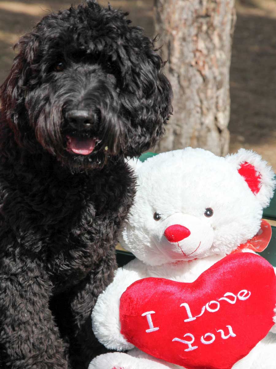 JAZZ – CHO de l’Espace Aristide / Chief Happiness Officer