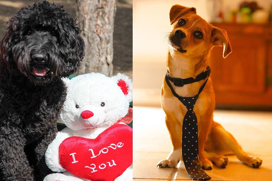 Jazz et Jude ! Les amis « Responsables du bonheur » de l'Espace Aristide !