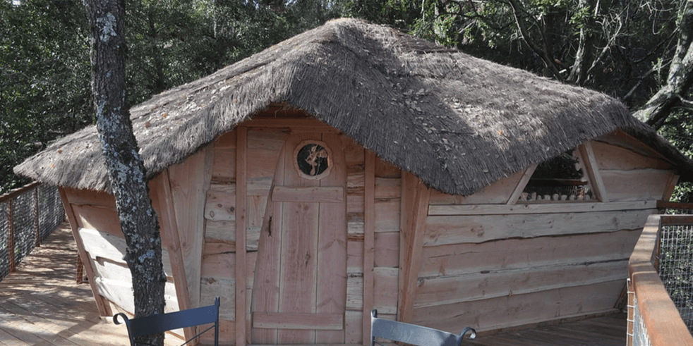 Cliquer sur l'image pour accéder au site Arbres et Cabanes