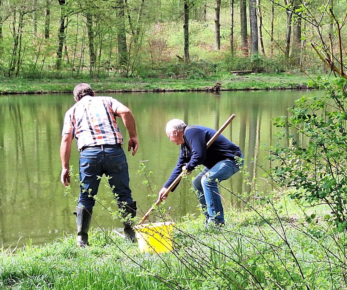 Forellenbesatz Anfischen