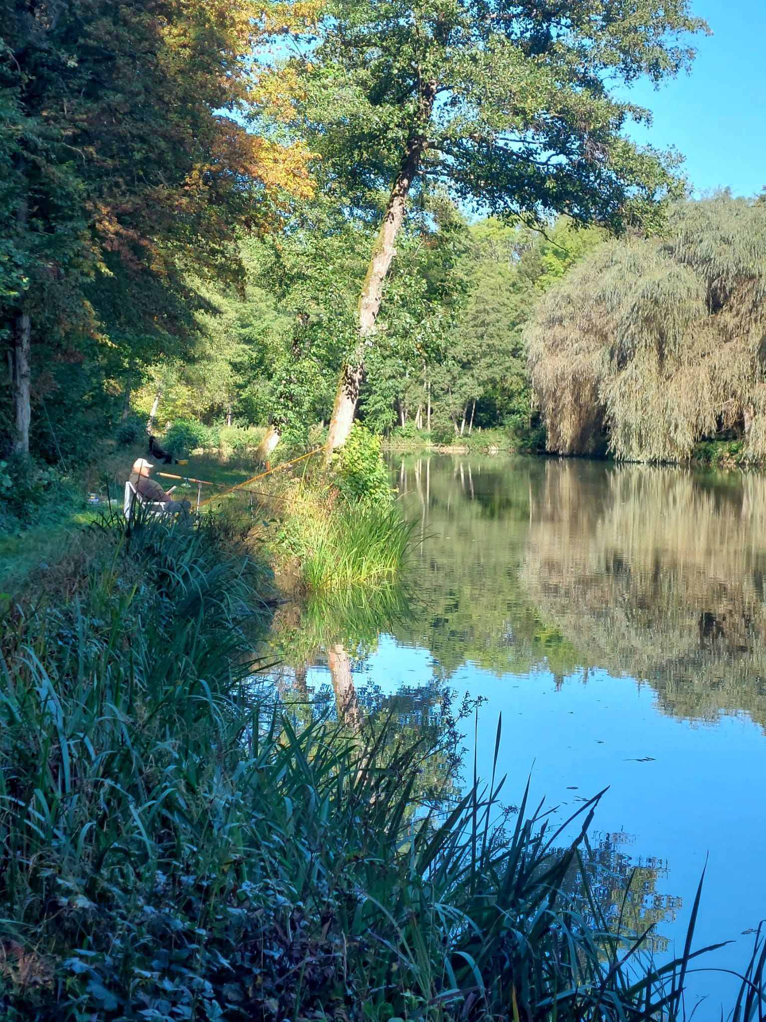 Eckhausee