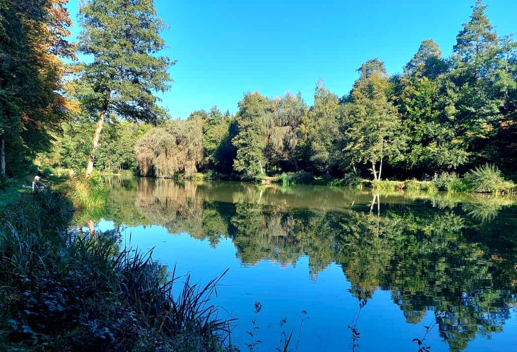Eckhausee