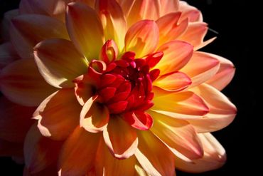 Hypnotherapie - klar und einfach!