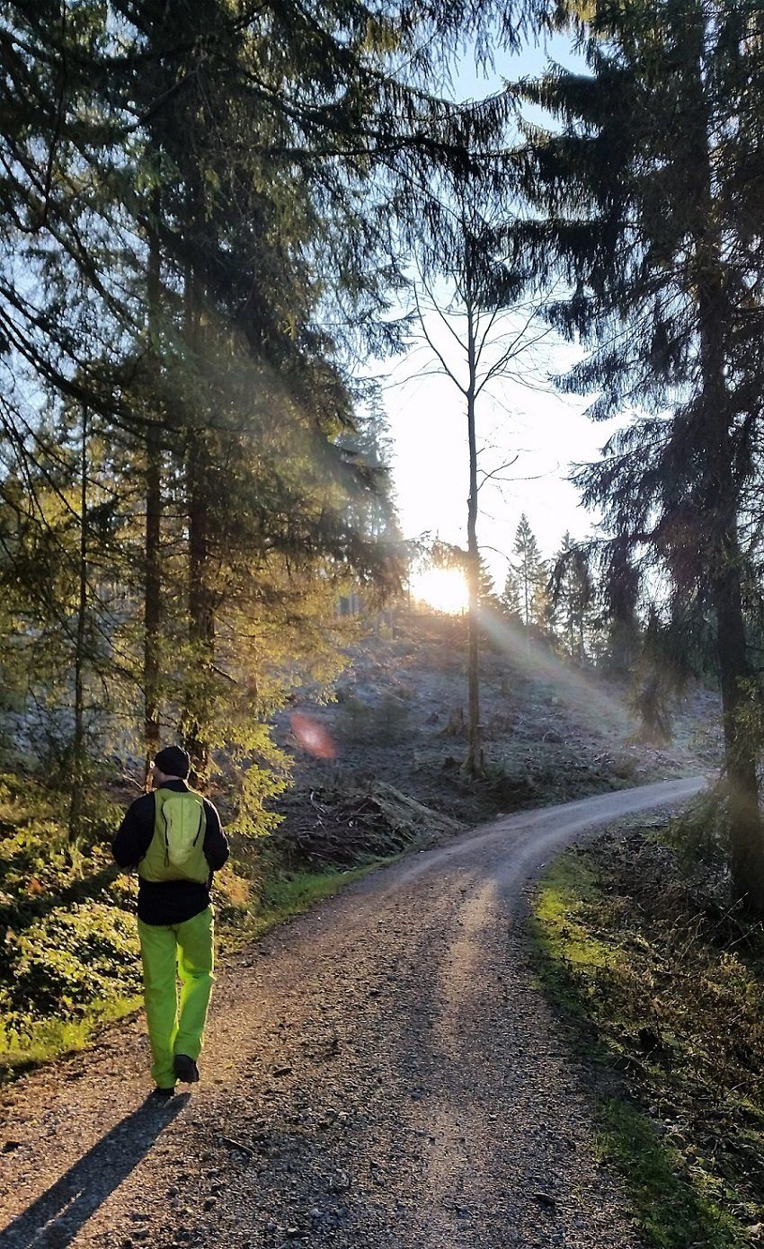 Weg zum Hauchenberg Allgäu