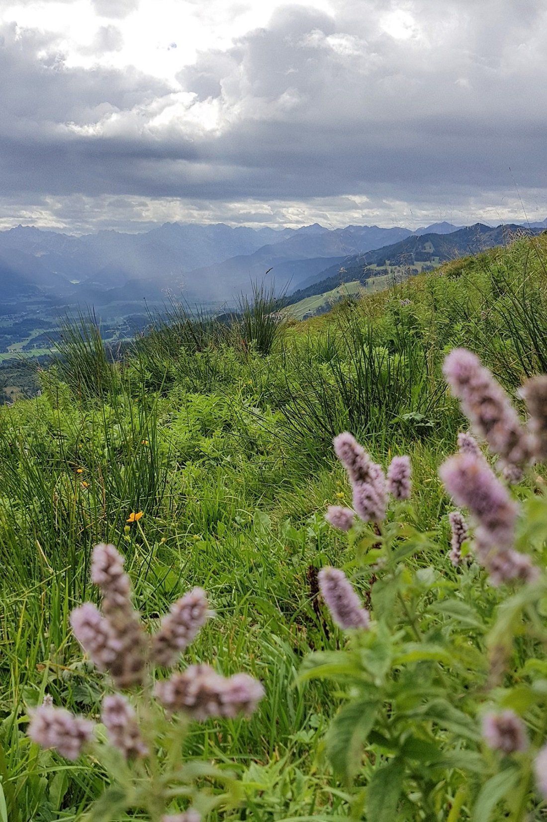 Nagelfluhkette Allgäu