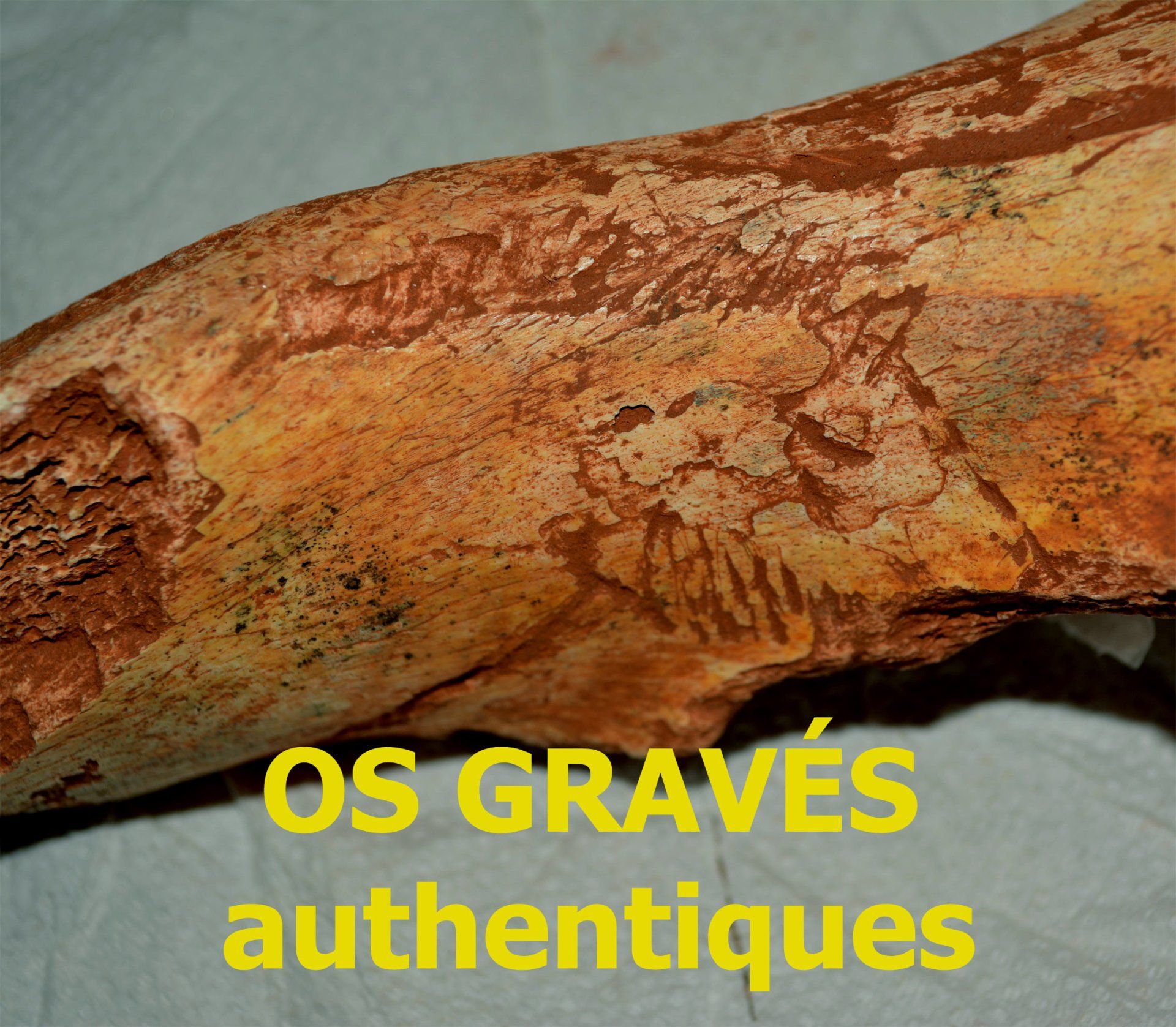 Os graves paléolithique